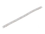 Bandă LED Alb Rece 24V IP65
