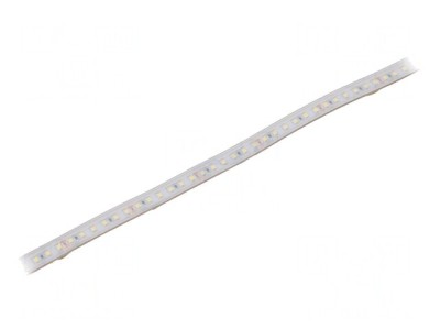 Bandă LED Alb Rece 24V IP65 foto