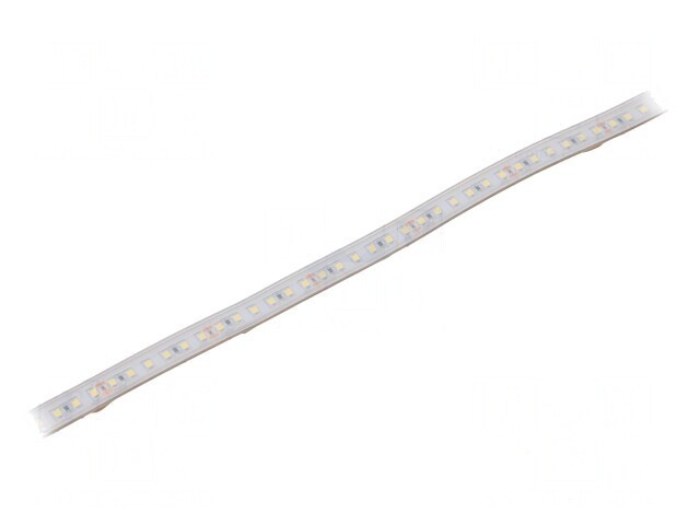Bandă LED Alb Rece 24V IP65