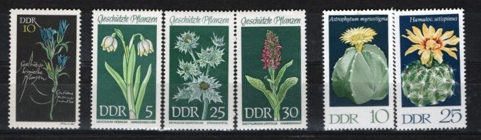 GERMANIA (DDR) 1967/69/70 - FLORI DE CAMP. CACTUSI. TIMBRE NESTAMPILATE, MT8