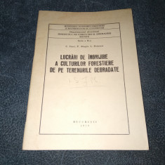 LUCRARI DE INGRIJIRE A CULTURILOR FORESTIERE DE PE TERENURILE DEGRADATE 1979