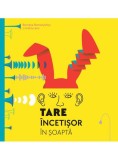 Tare incetisor in soapta - Grupul Art