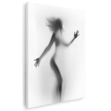 Tablou nud femeie siluetă difuză, alb, negru 1210 Tablou canvas pe panza CU RAMA 80x120 cm