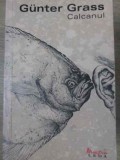 Calcanul - Gunter Grass, Leda, 2008, Roman, Beletristica, 654 Pagini, Paperback