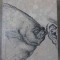 CALCANUL-GUNTER GRASS-232006