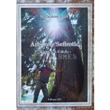 Arborele Sefirotic. Grupul de Cabala - 2021 - Daniel Aron Meze (AH96)