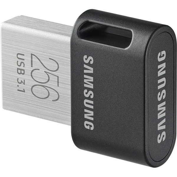Sm usb 256gb fit plus micro 3.1