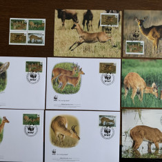 ghana - serie 4 timbre MNH, 4 FDC, 4 maxime, fauna wwf