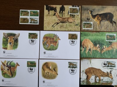 ghana - serie 4 timbre MNH, 4 FDC, 4 maxime, fauna wwf foto