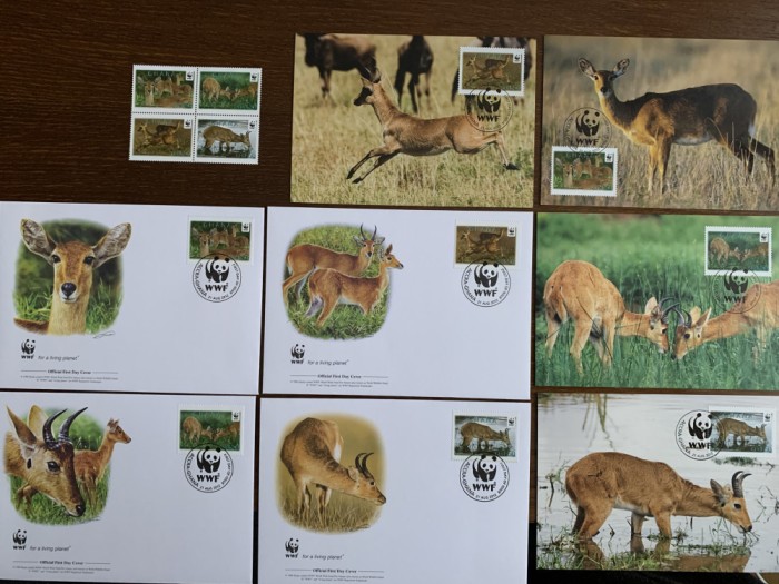 ghana - serie 4 timbre MNH, 4 FDC, 4 maxime, fauna wwf
