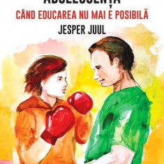 Adolescența. Când educarea nu mai e posibilă - Paperback brosat - Jesper Juul, Mara Wagner - Univers