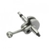 Arbore Cotit Motor Drujba Stihl MS250, 023, 025, MS230 - Barracuda, Diametru Stift 10mm, Piesa de Schimb Motoferastrau