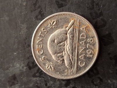 5 cents 2008 canada foto