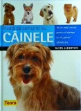 David Alderton - Invata sa comunici cu cainele tau