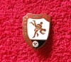 Insigna Lupte - AS JIUL PETRILA