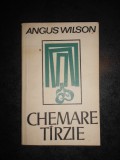 ANGUS WILSON - CHEMARE TARZIE