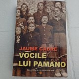 VOCILE LUI PAMANI-JAUME CABRE-2008 R4.