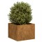vidaXL Jardinieră Rusty 40x40x30 cm Oțel pentru intemperii