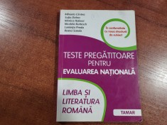 Teste pregatitoare pentru evaluarea nationala.Limba si literatura rom.-M.Cirstea