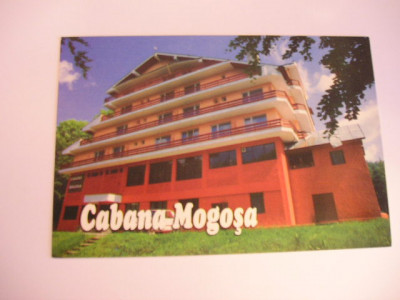MRC - CARTI POSTALE CABANA MOGOSA - JUD MARAMURES NR 1 foto