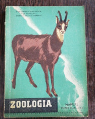 ZOOLOGIE - CONSTANTIN BOGOESCU /EMIL SANIELEVICI/CORALIA NITESCU -VERNESCU foto