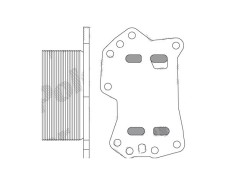 Radiator ulei motor, Termoflot Nissan Nv250 2019-, Qashqai 2013-, 70x110x49mm, RapidAuto 60X2L8-2 foto