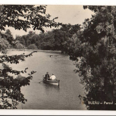 CPI B 11356 CARTE POSTALA - BUZAU. PARCUL CRANGUL, RPR