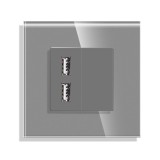 Cumpara ieftin Priza USB Luxion gri cu rama din sticla, design modern si elegant