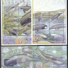 DB1 Fauna Marina Ghana Balene 2 x MS + SS MNH