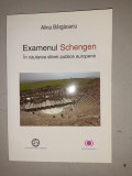 Examenul Schengen. In cautarea sferei publice europene - ALINA BARGAOANU