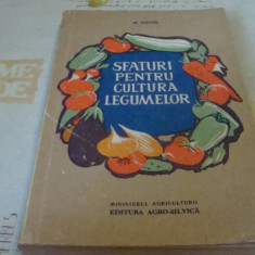M. Nistor - Sfaturi pentru cultura legumelor - 1961