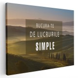 Tablou mesaj motivational bucura-te de lucrurile simple 1481 Tablou canvas pe panza CU RAMA 50x70 cm