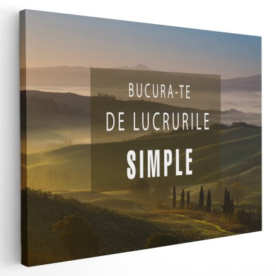 Tablou mesaj motivational bucura-te de lucrurile simple 1481 Tablou canvas pe panza CU RAMA 60x90 cm foto