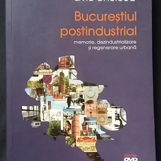 Bucurestiul Postindustrial fabrici industrie urbana (464 pp. / 400 ill. / DVD)