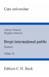 Drept international public. Sinteze. Curs universitar Ed.10 - Adrian Nastase, Bogdan Aurescu