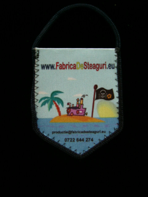 D9 3 - fanion - reclama - Fabrica de steaguri