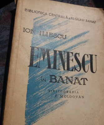 ION ILIESCU EMINESCU IN BANAT foto