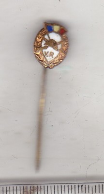 bnk ins Insigna Veteran de razboi foto
