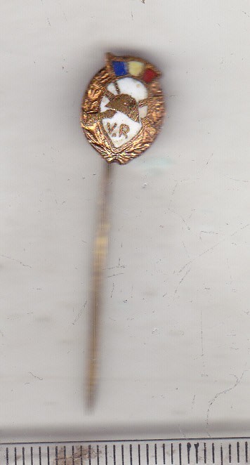 bnk ins Insigna Veteran de razboi