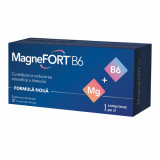 MagneFORT&reg; B6, 30 comprimate, Biofarm