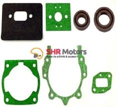 Set garnituri + simeringuri motocoasa china