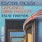 CAPCANELE LIMBII ENGLEZE. FALSE FRIENDS-ANDREI BANTAS, MIHAI RADULESCU-232298