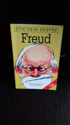 CATE CEVA DESPRE FREUD - RICHARD APPIGNANESI foto