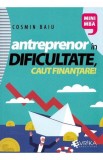 Antreprenor in dificultate caut finantare! - Universul Juridic