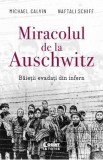 Miracolul de la Auschwitz - Michael Calvin, Naftali Schiff