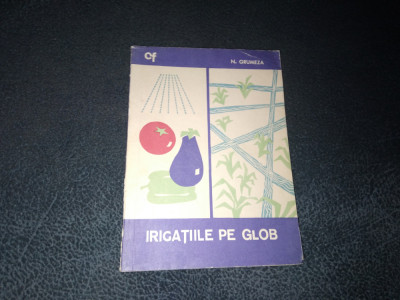 N GRUMEZA - IRIGATIILE PE GLOB foto