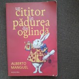 Alberto Manguel - Un cititor in padurea din oglinda
