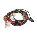 Instalatie electrica scuter GY6 50-80cc roata 10 -4T