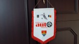 Fanion FC Auto Timisoara