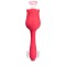 Vibrator Rose Double Function